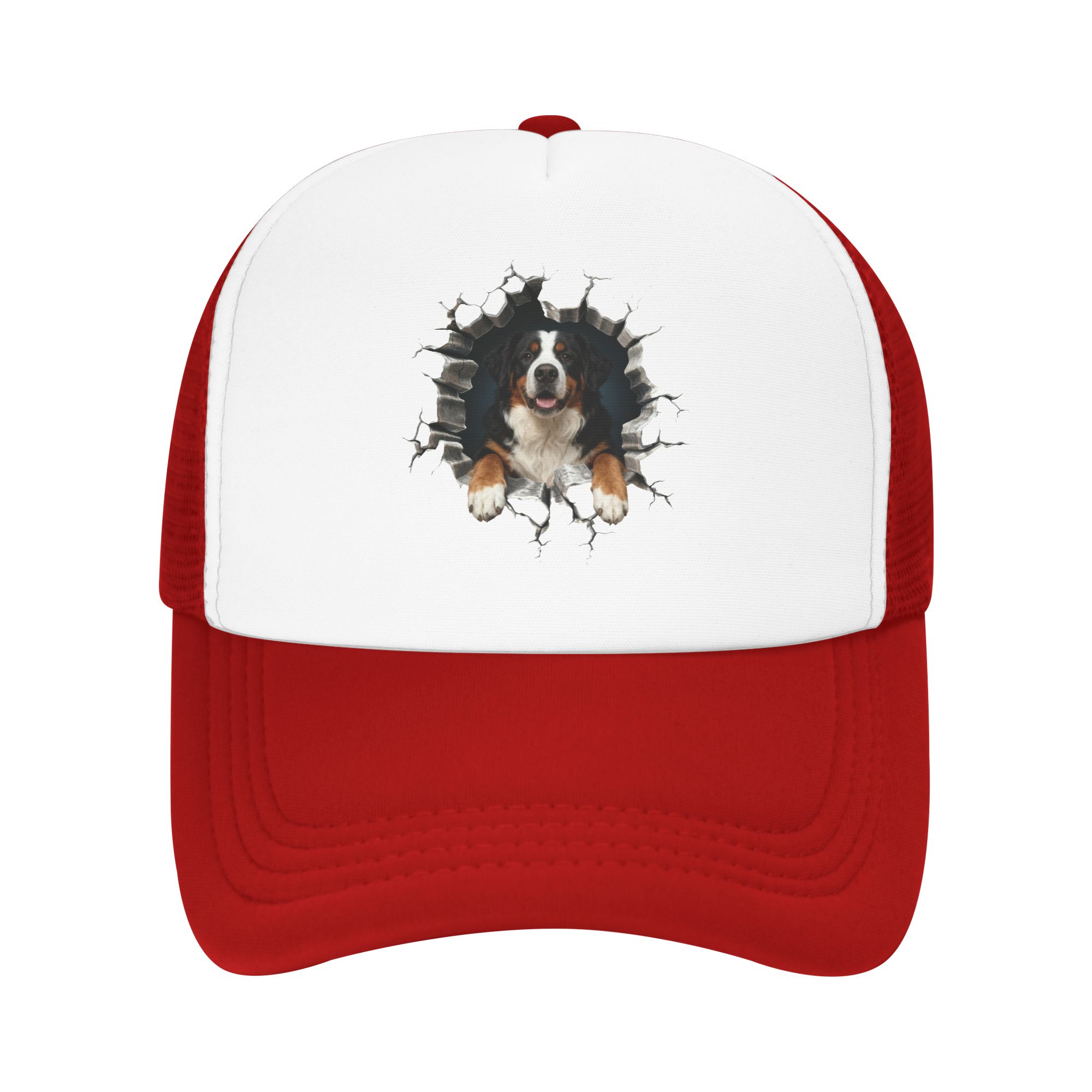 Breaking Through Bernese Mount - Trucker Hat Cap recensie en prijs