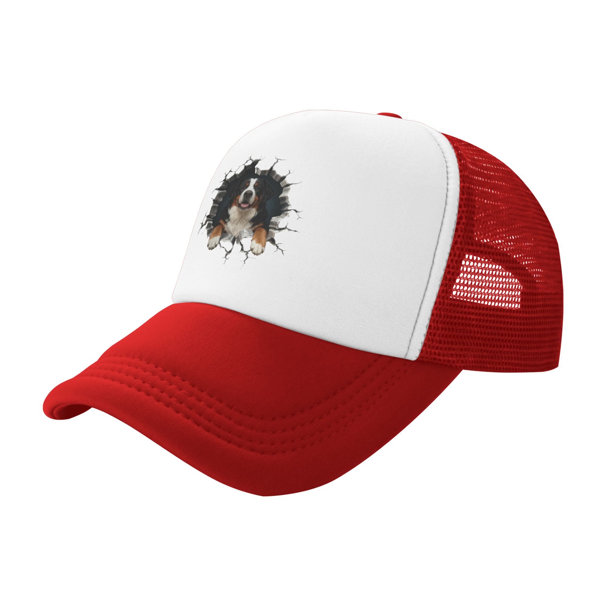 Breaking Through Bernese Mount - Trucker Hat Cap recensie en prijs